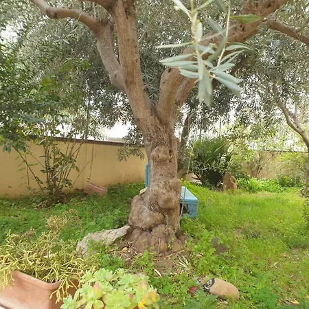 Appartement Sardhouse Orosei