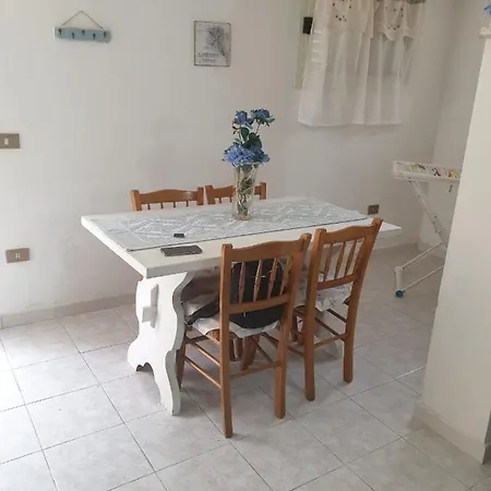 Sardhouse Appartement